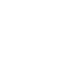 Logo LucasFT